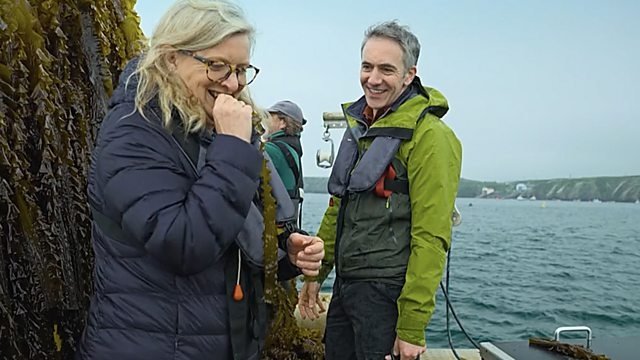 Countryfile 37x23