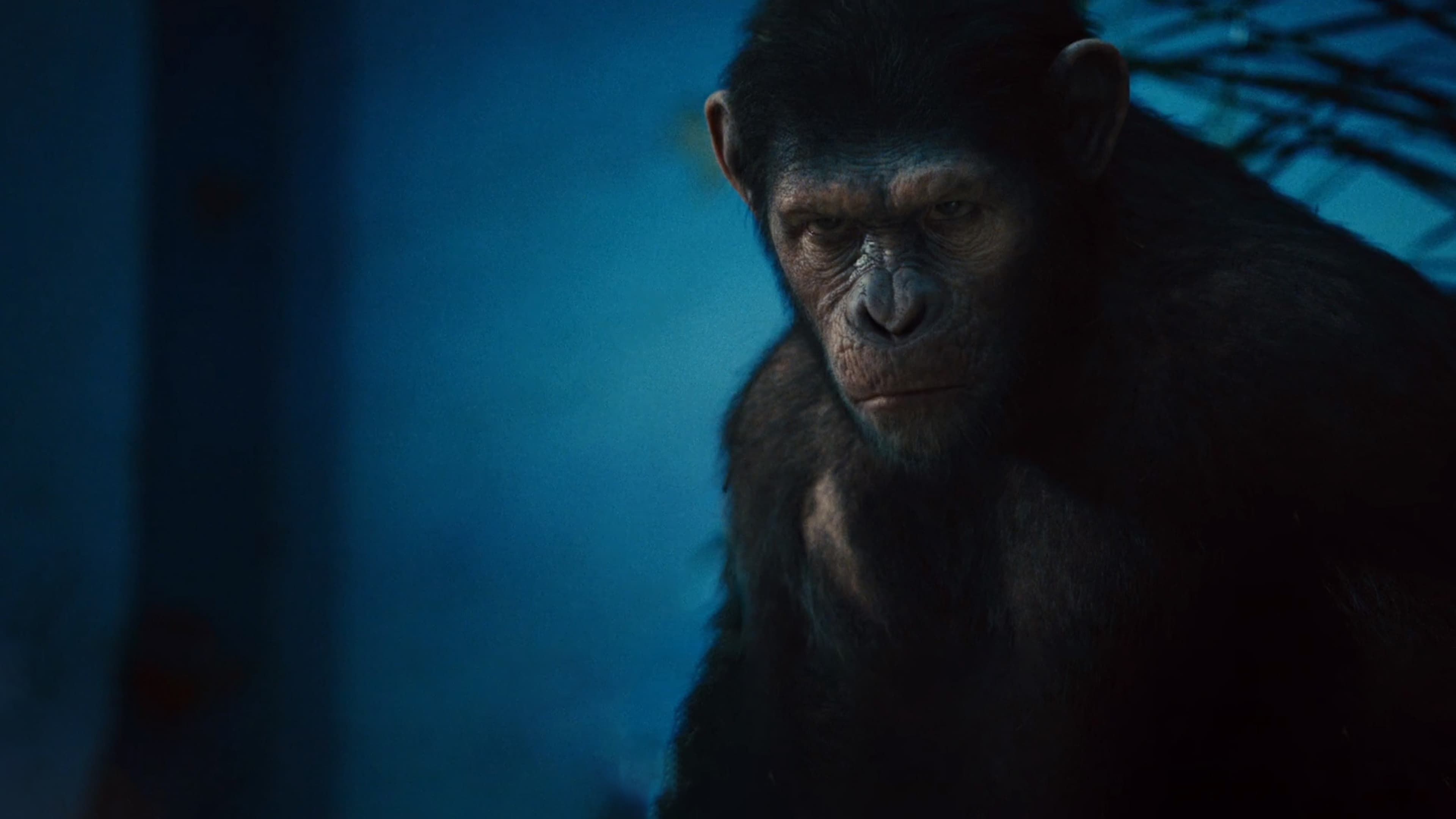 L'alba del pianeta delle scimmie (2011)
