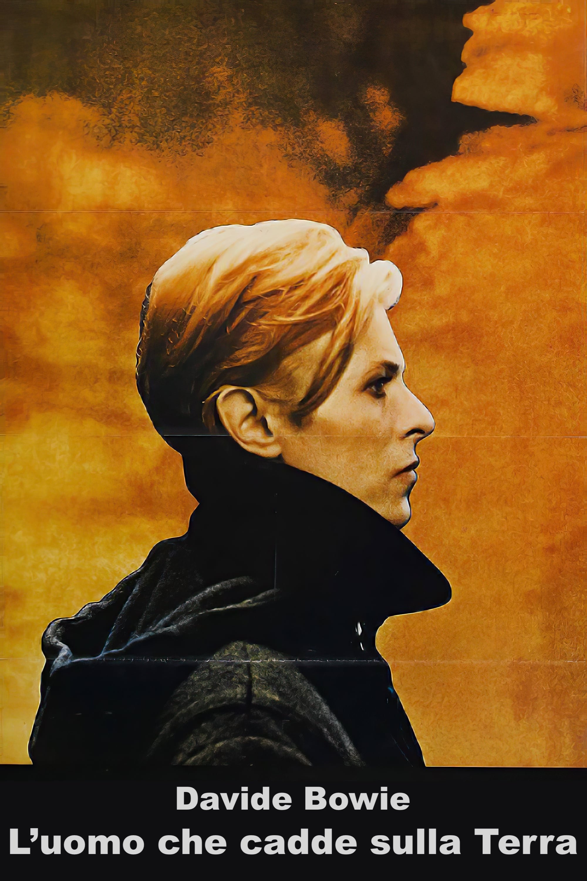 The Man Who Fell to Earth