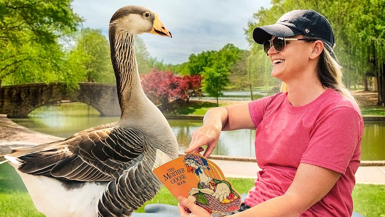 Honk (2022)