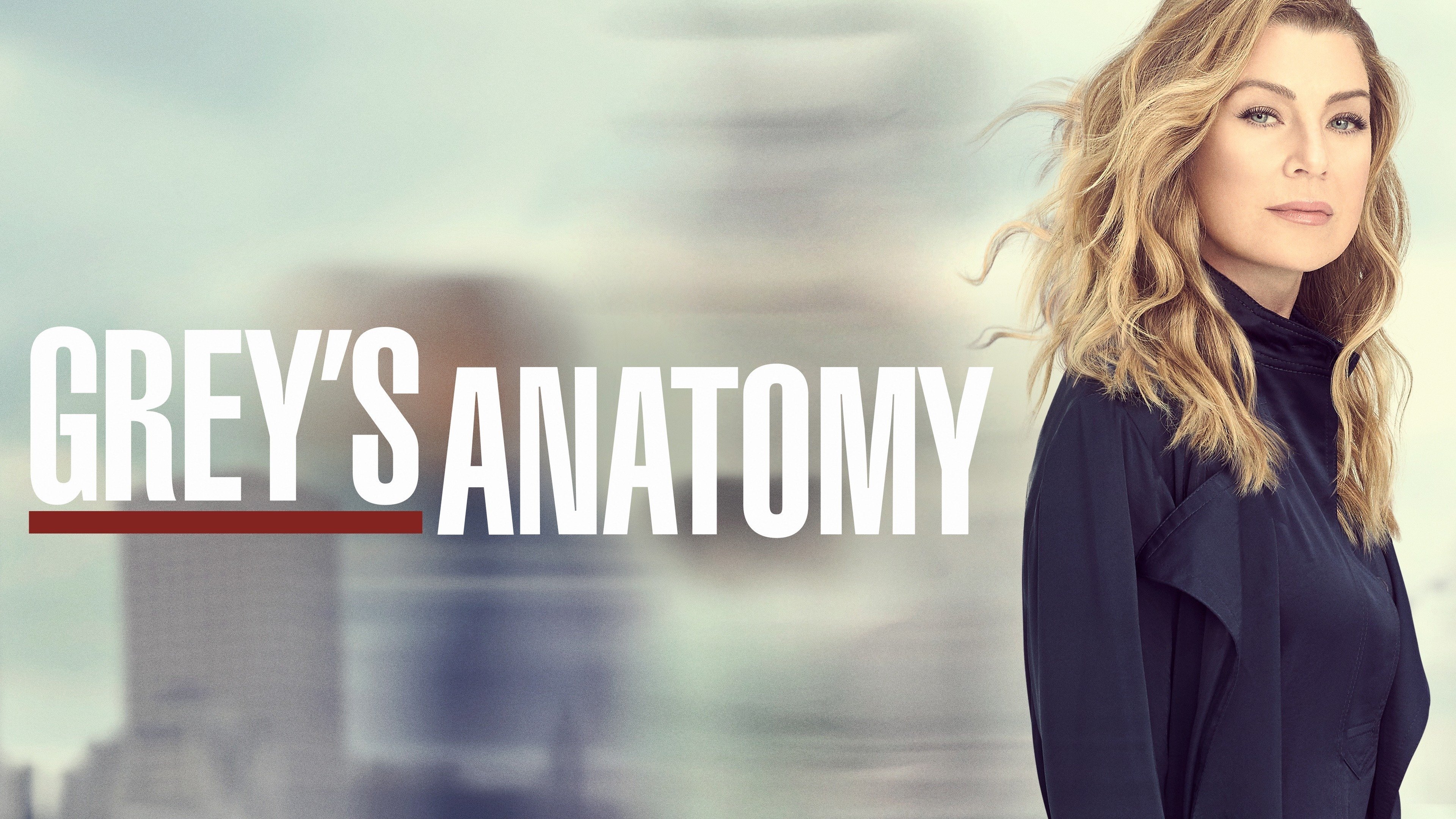 Anatomia de Grey - Season 14