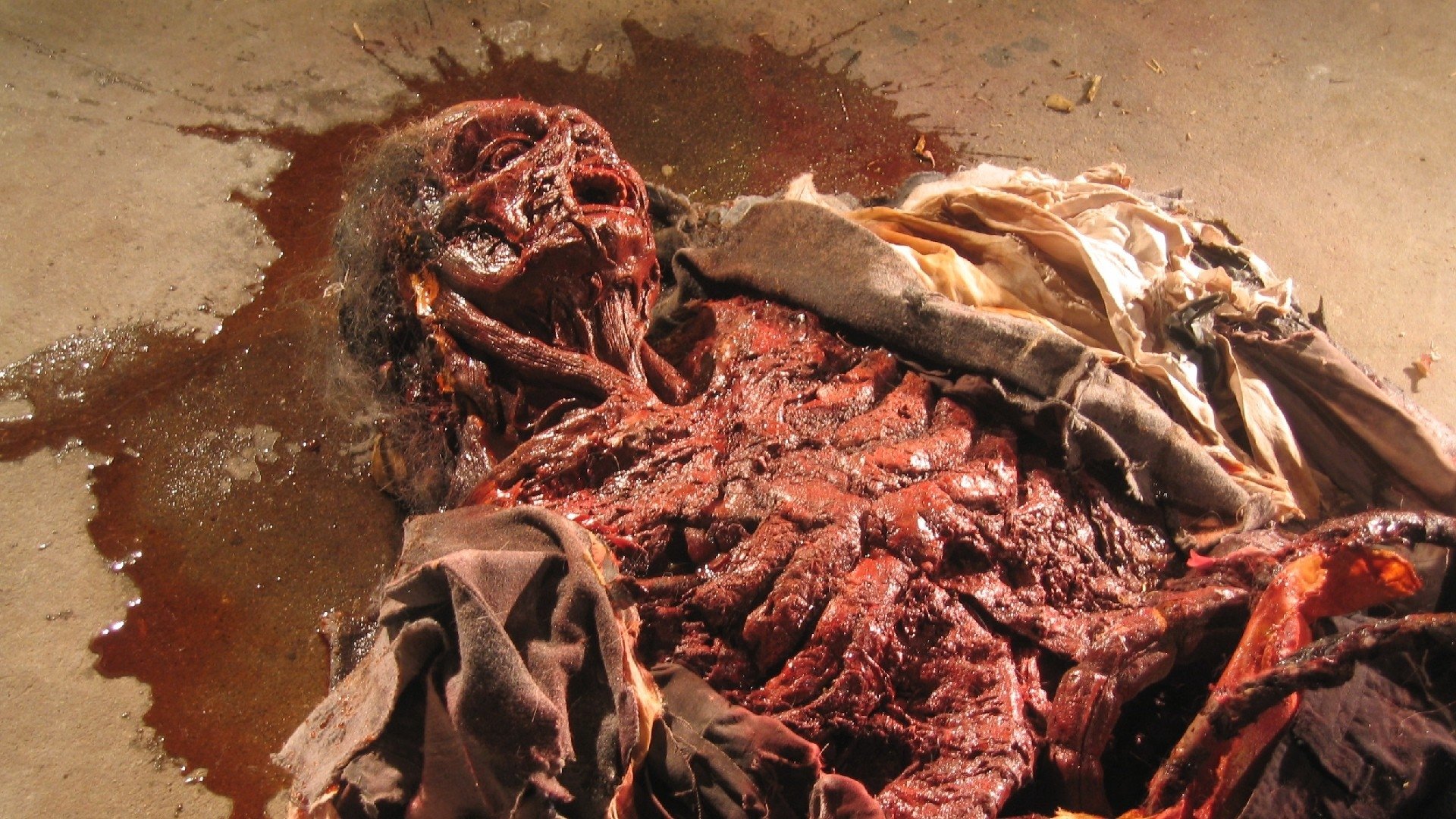 Cryptic Plasm (2015)