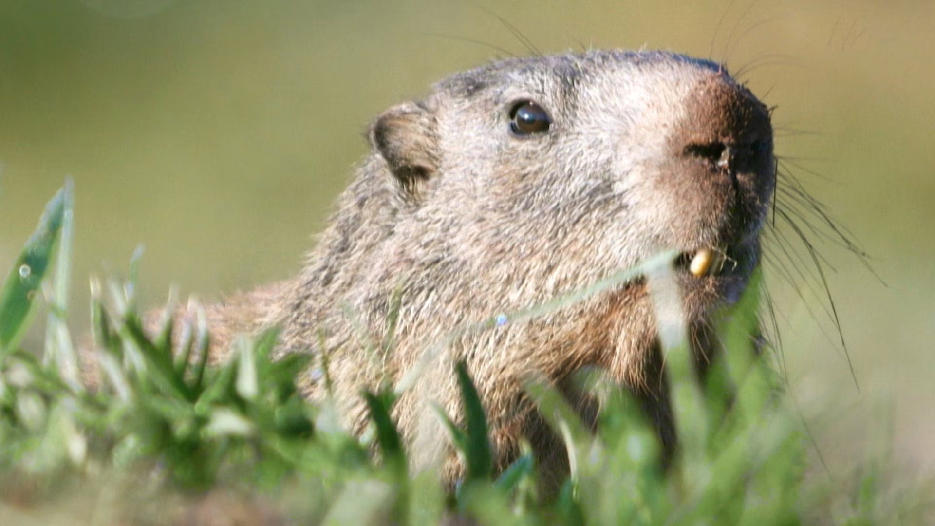 Earth Odyssey with Dylan Dreyer S06E06 backdrop