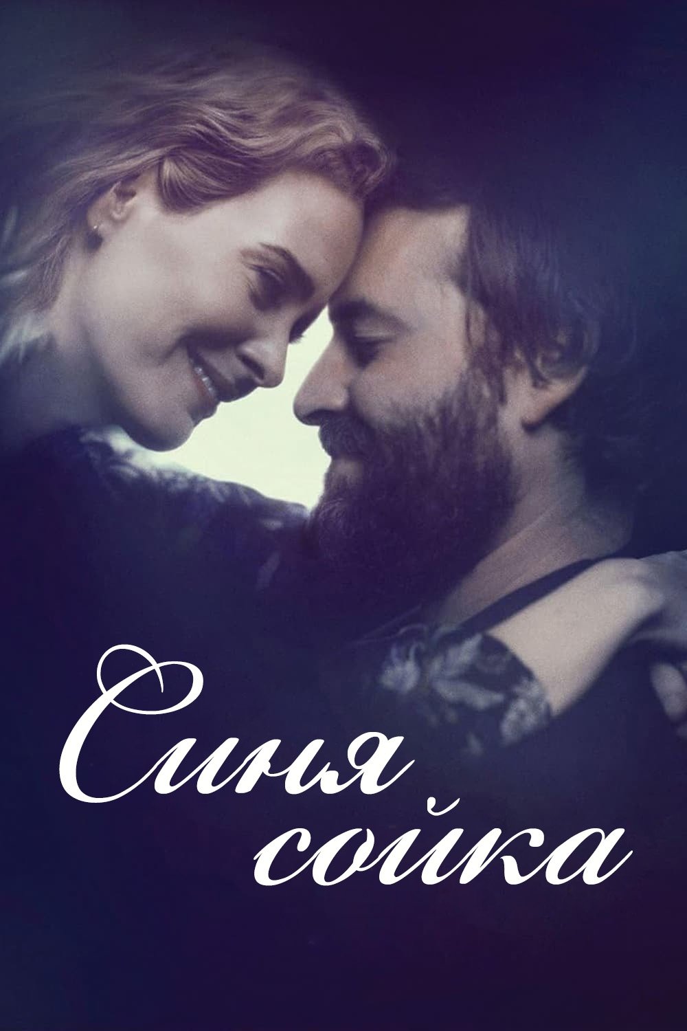 Синя сойка