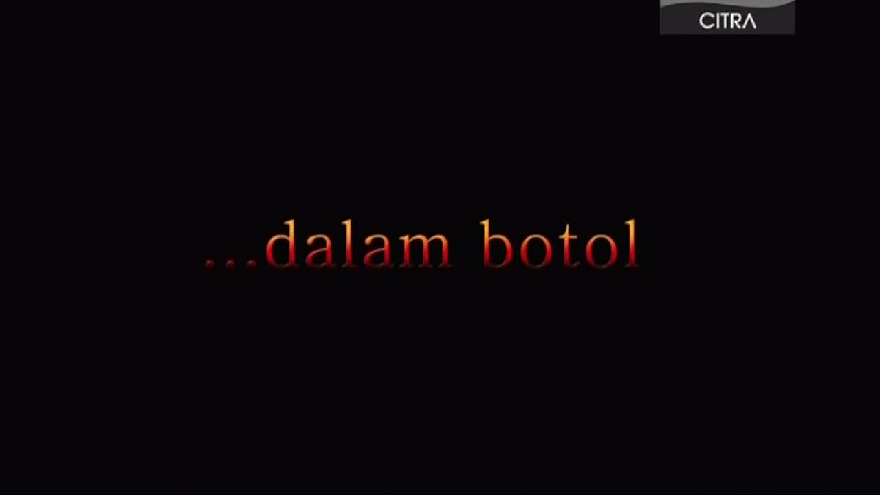 In A Bottle (2011)