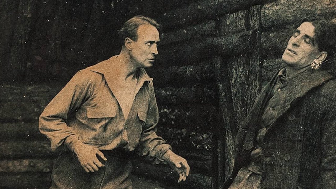Danger Trail (1917)