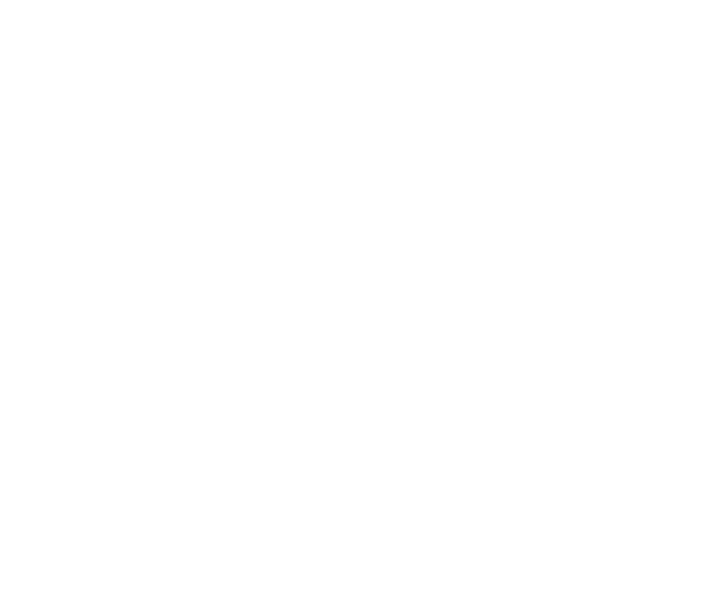 Three Identical Strangers Logo