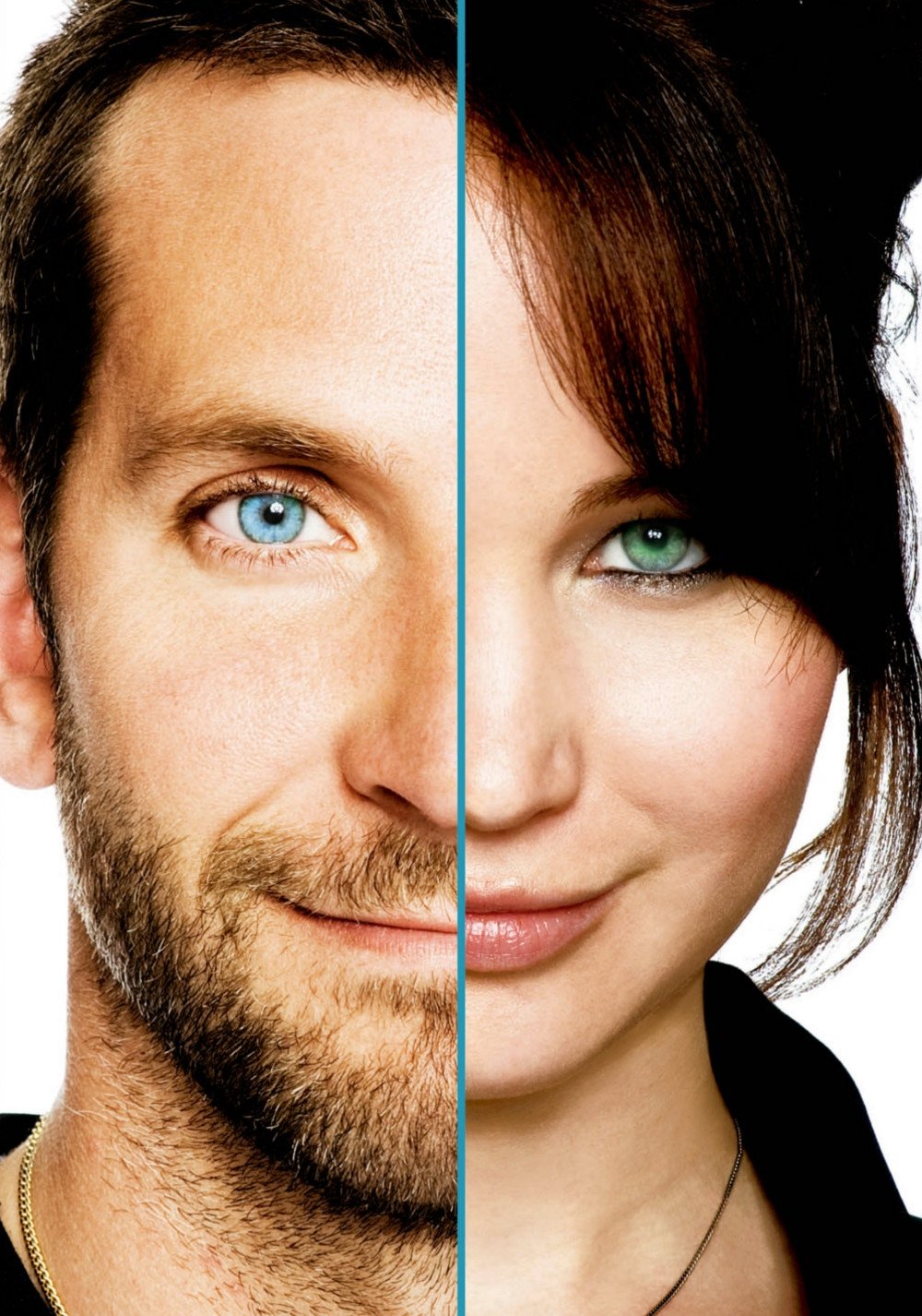 Silver Linings Playbook