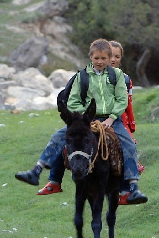 et billede af 阿不都力瓦力·阿不都瓦依提