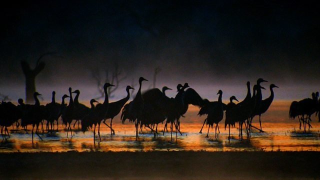 Countryfile 31x2