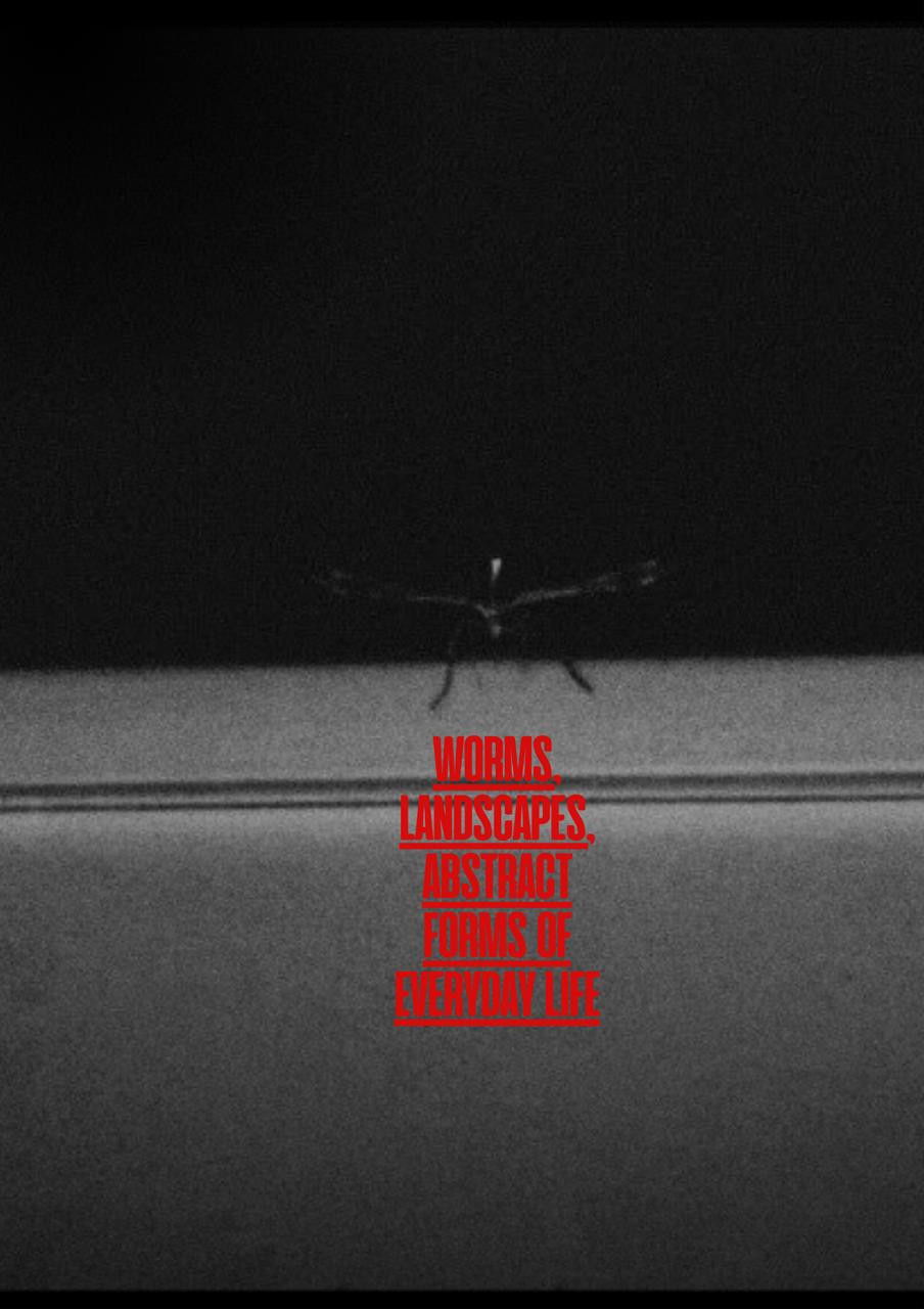 Worms, Landscapes, Abstract forms of Everyday life