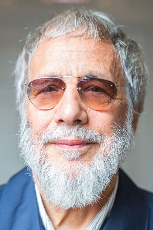 et billede af Cat Stevens