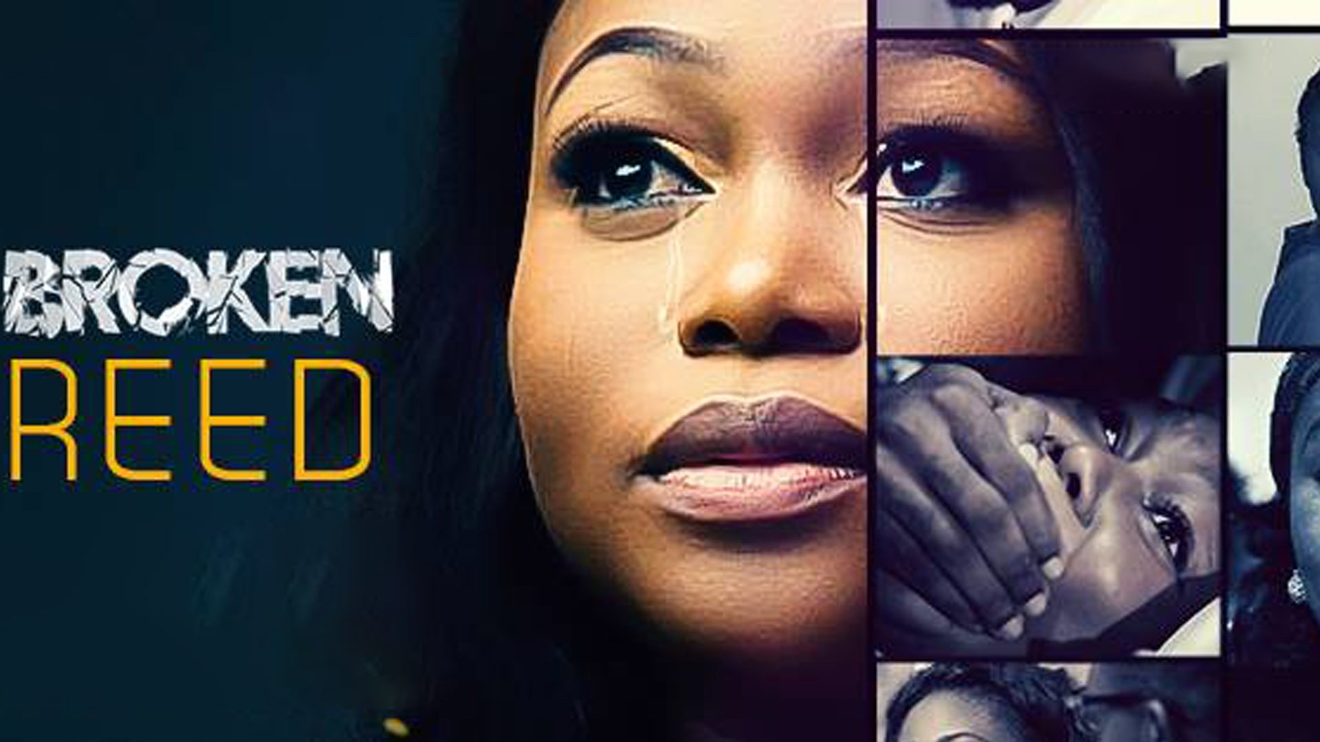 Broken Reed (2017)