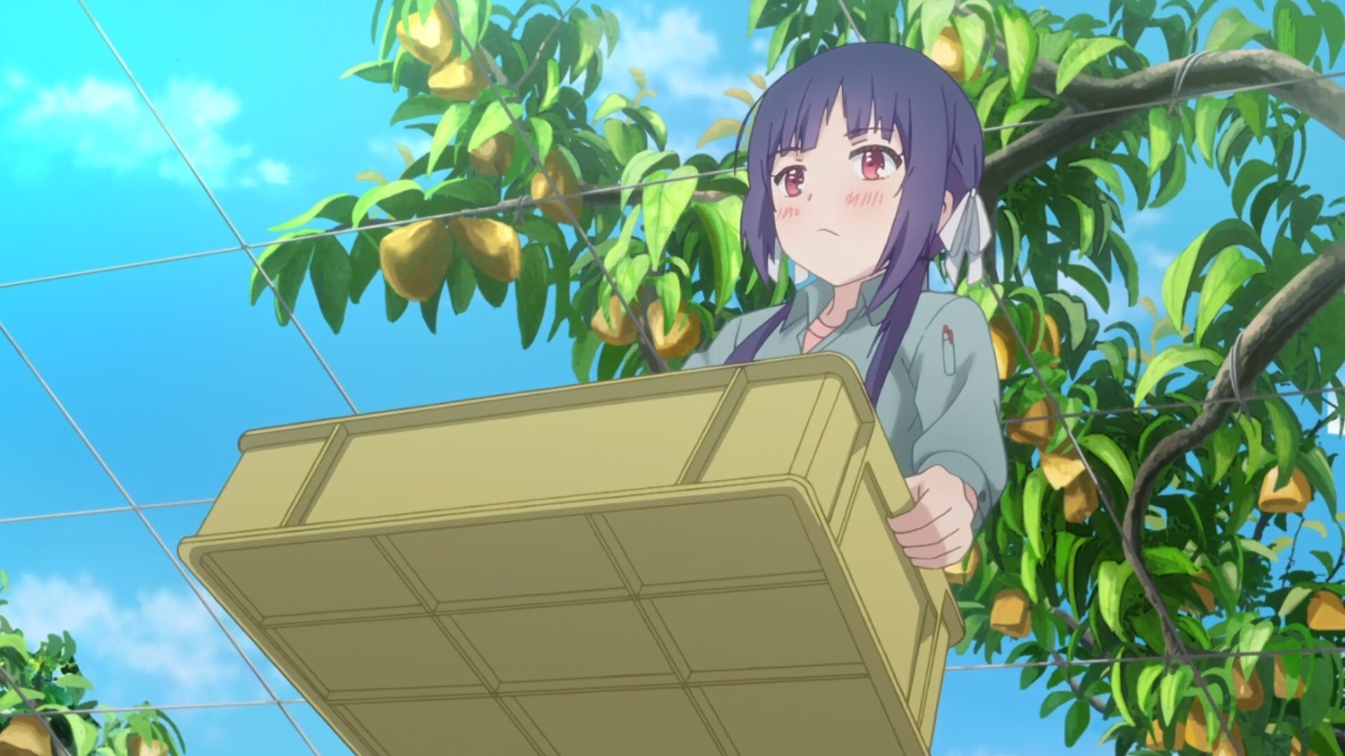 No-Rin