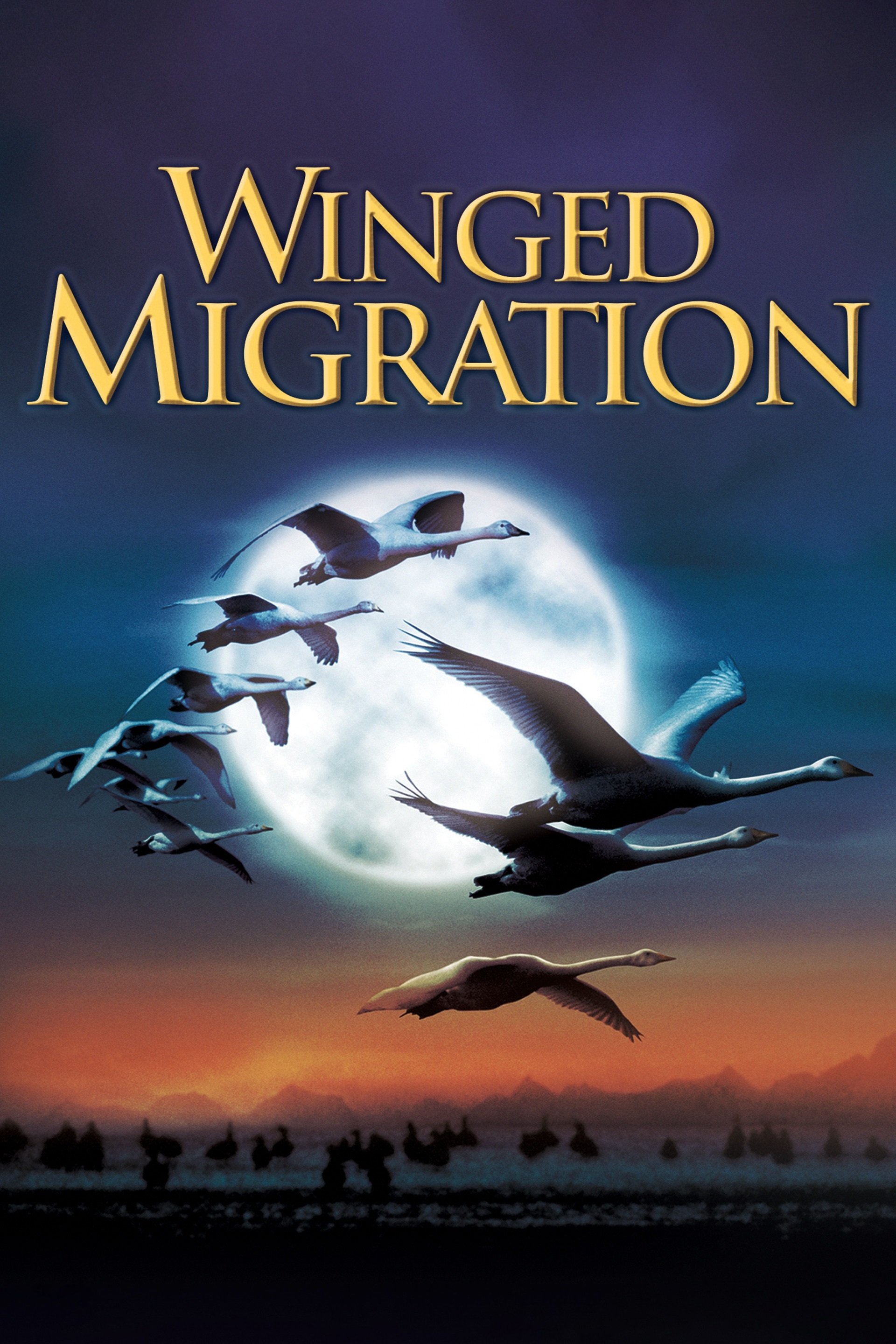 Winged Migration