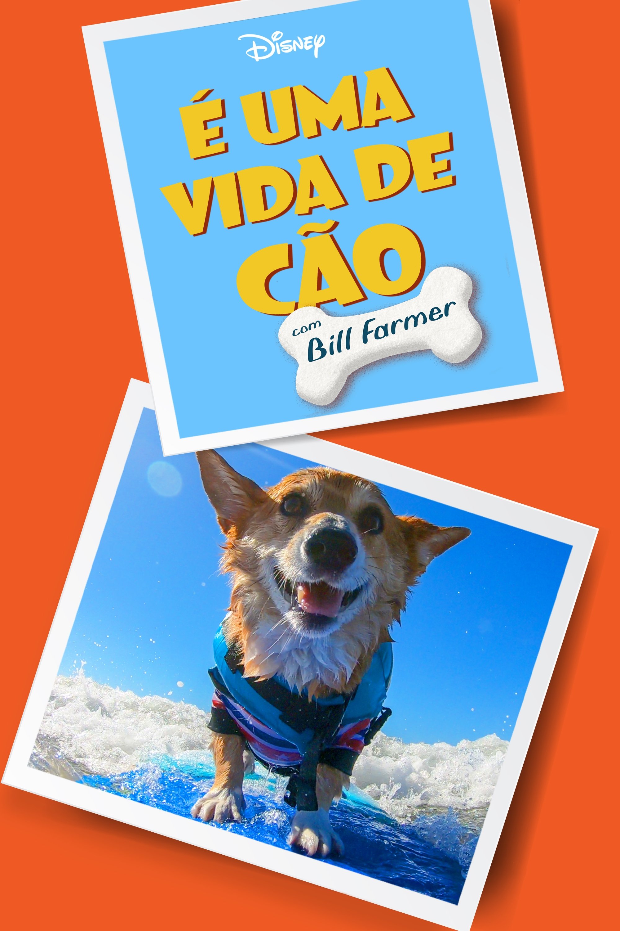 É Uma Vida de Cão, com Bill Farmer É Uma Vida de Cão, com Bill Farmer