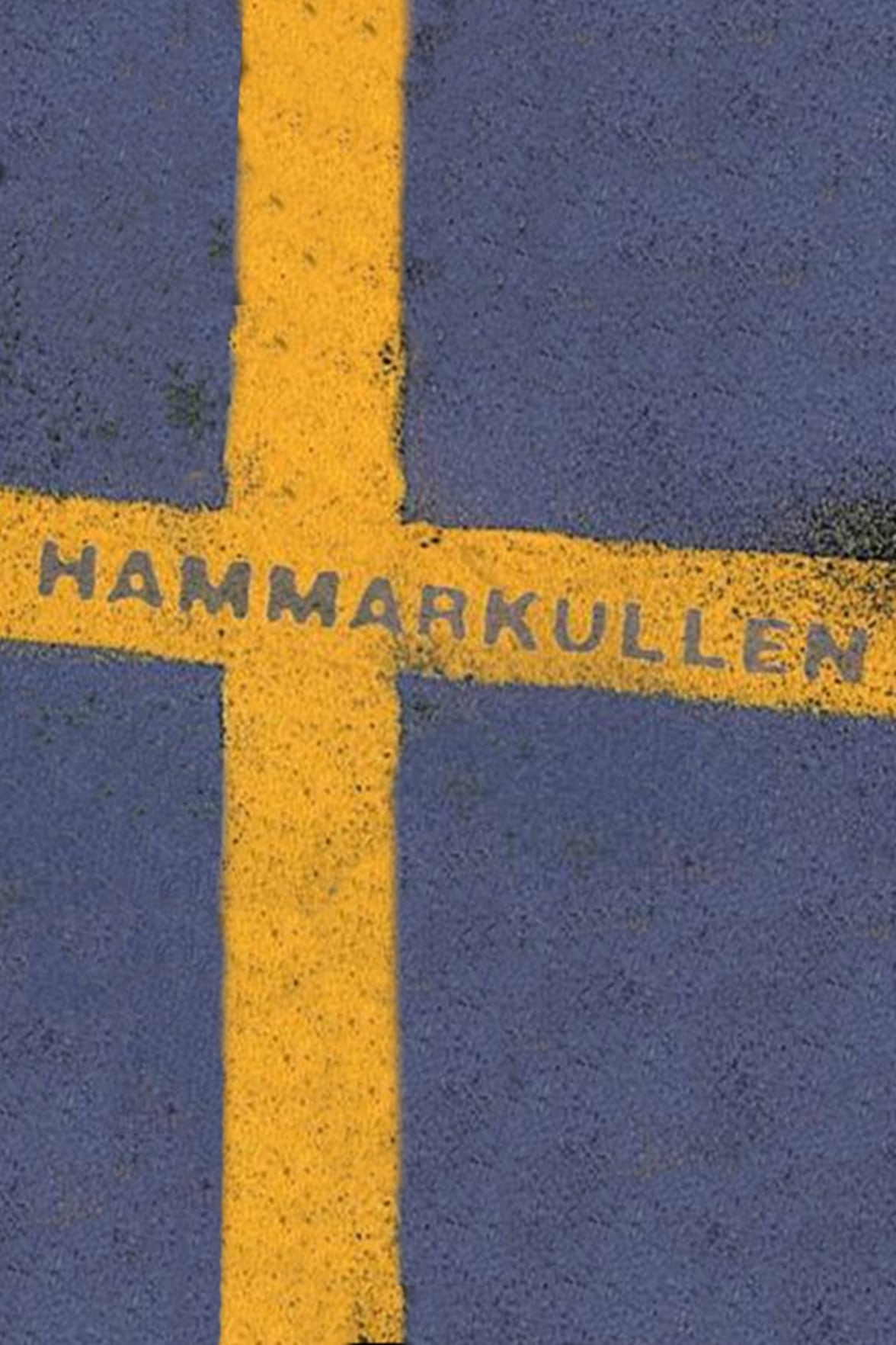 Hammarkullen TV Shows About Suburb