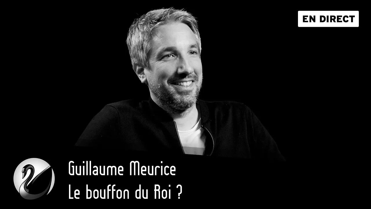 Thinkerview - Guillaume Meurice : Le bouffon du Roi ?