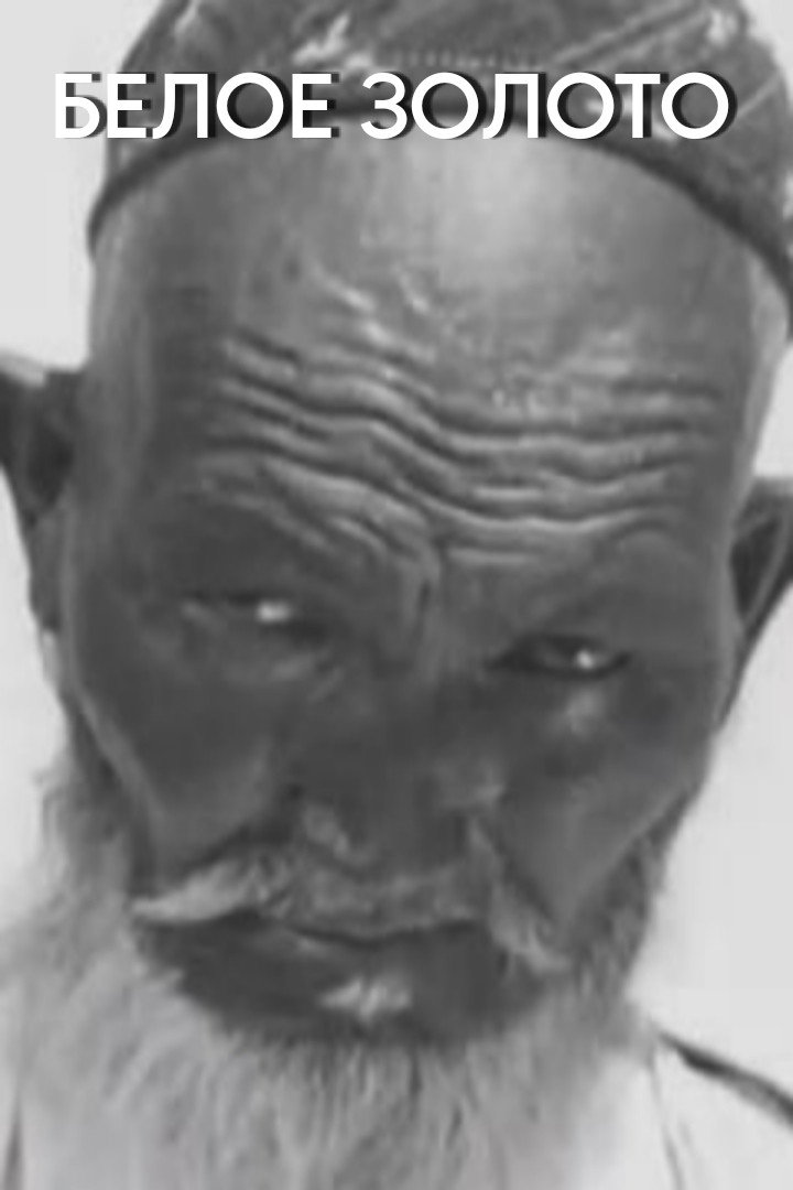 Poster for White Gold