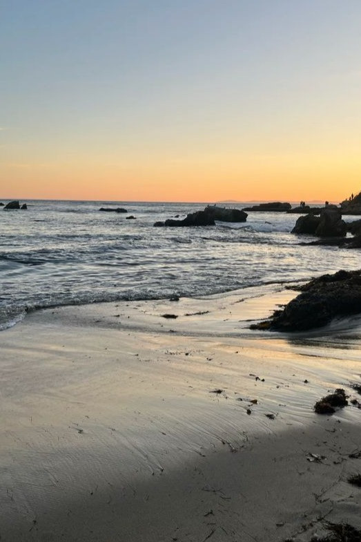 Erie Beach : The Next Generation