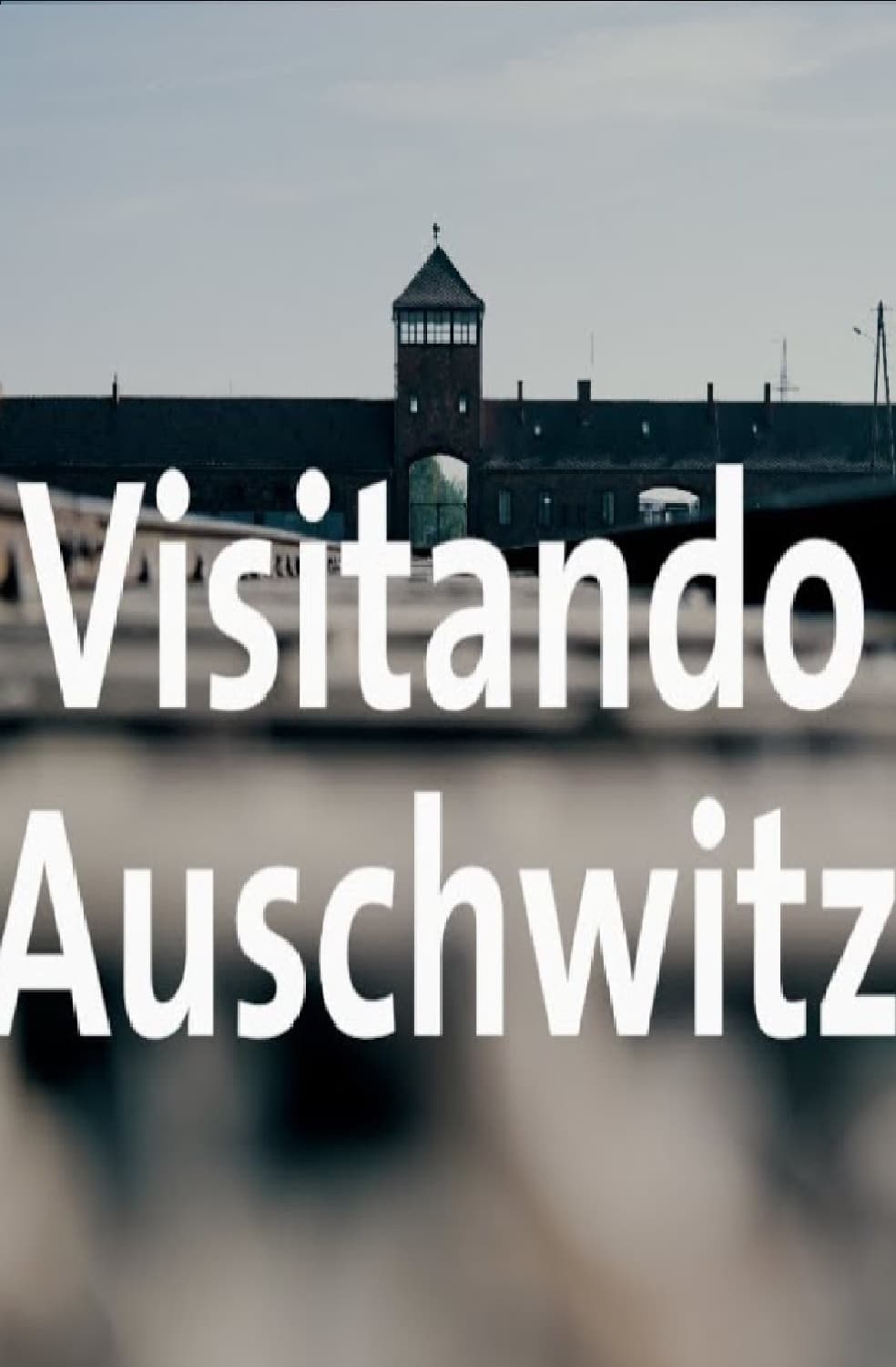Visitando Auschwitz - Alan por el mundo Polonia