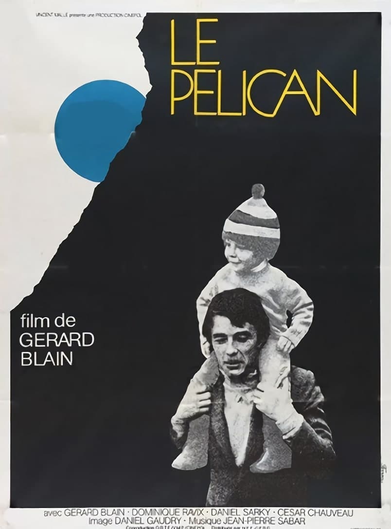 Affiche du film Le Pélican 13576