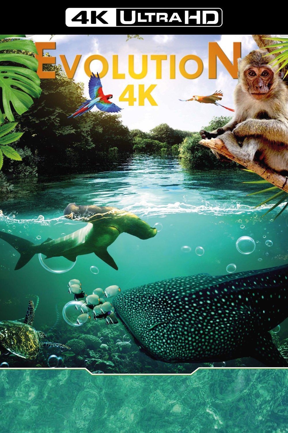 Evolution 4K