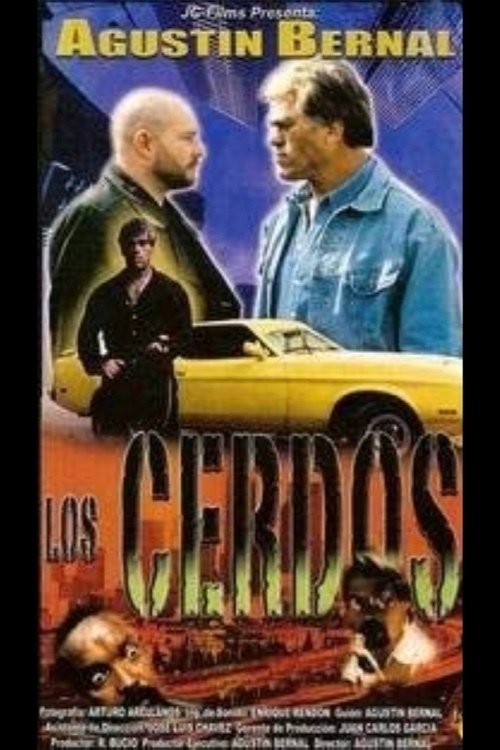 Content cover
