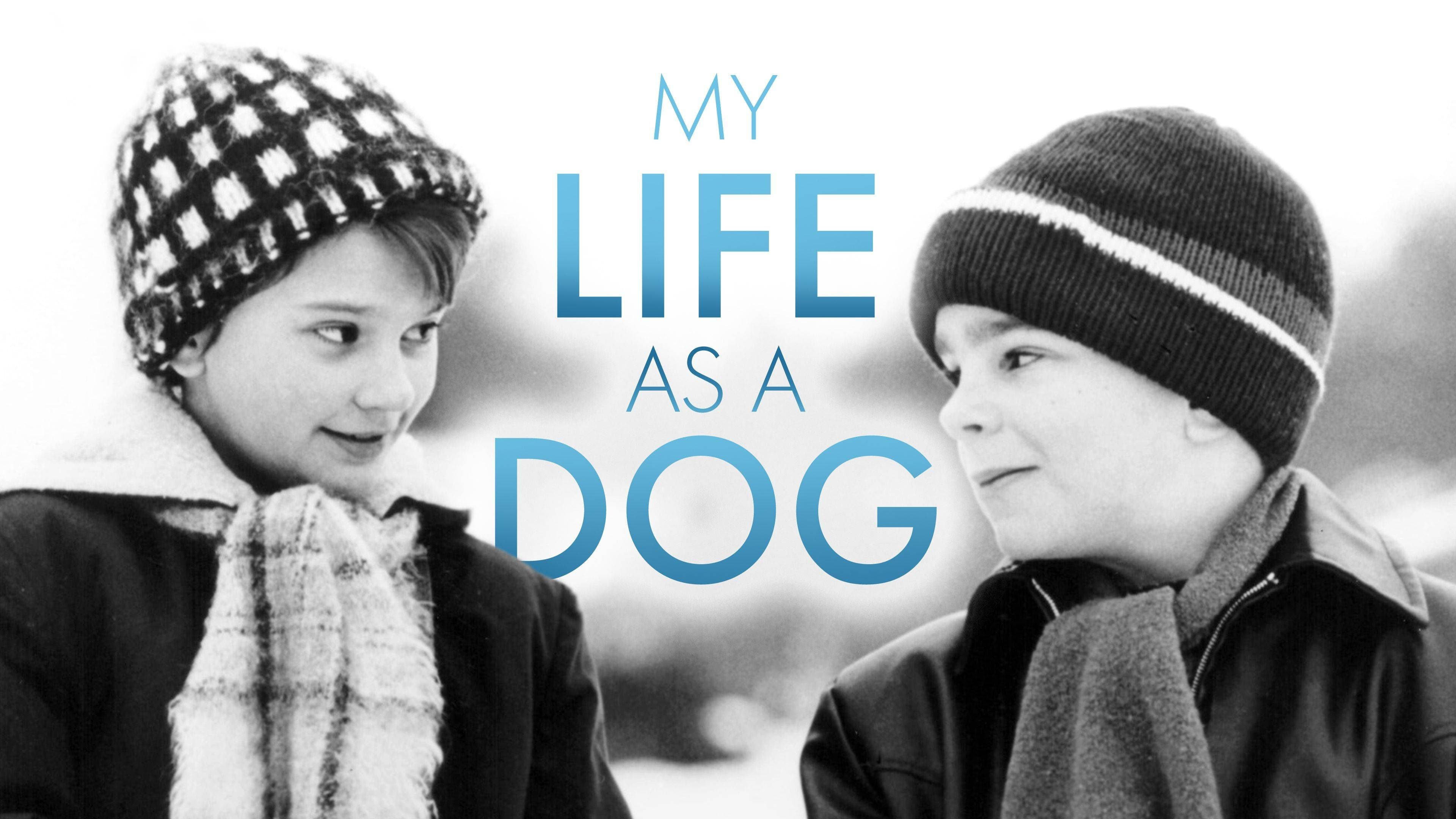 Mi vida como un perro (1985)