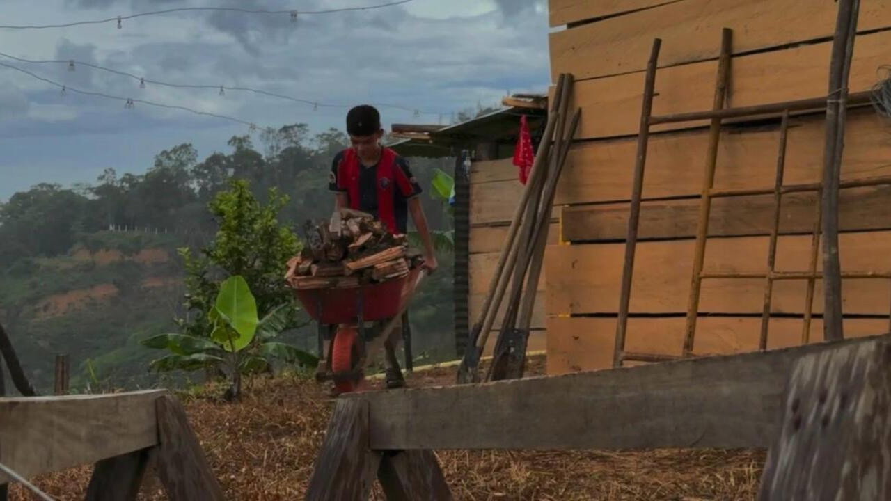 Las voces del Catatumbo