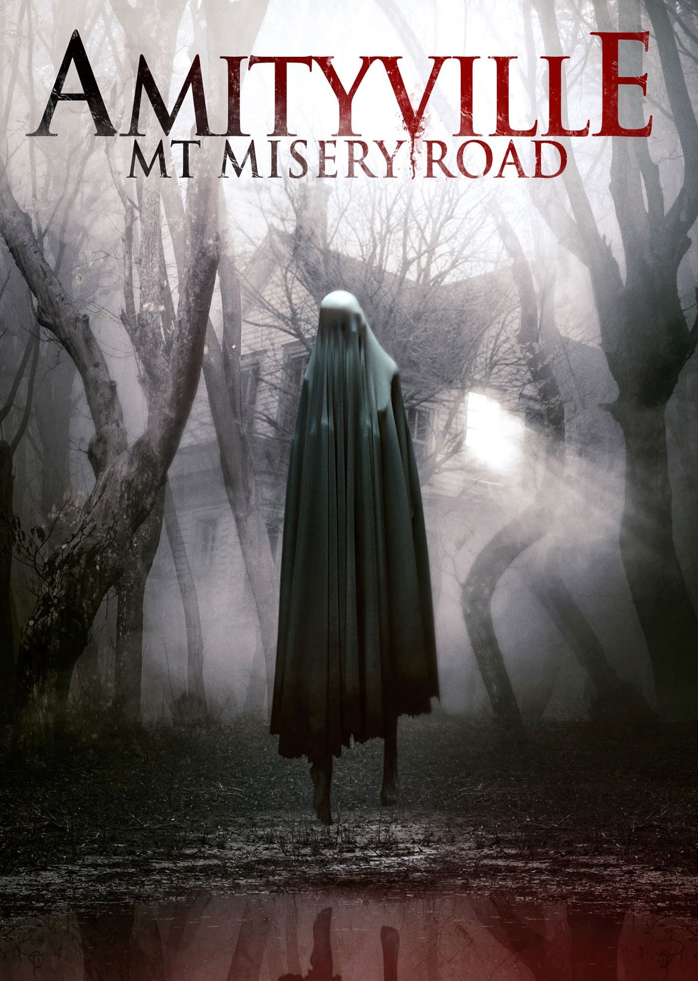 Amityville: Mt Misery Road
