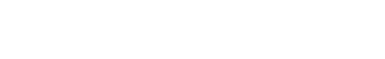 The Shadow Strays Logo