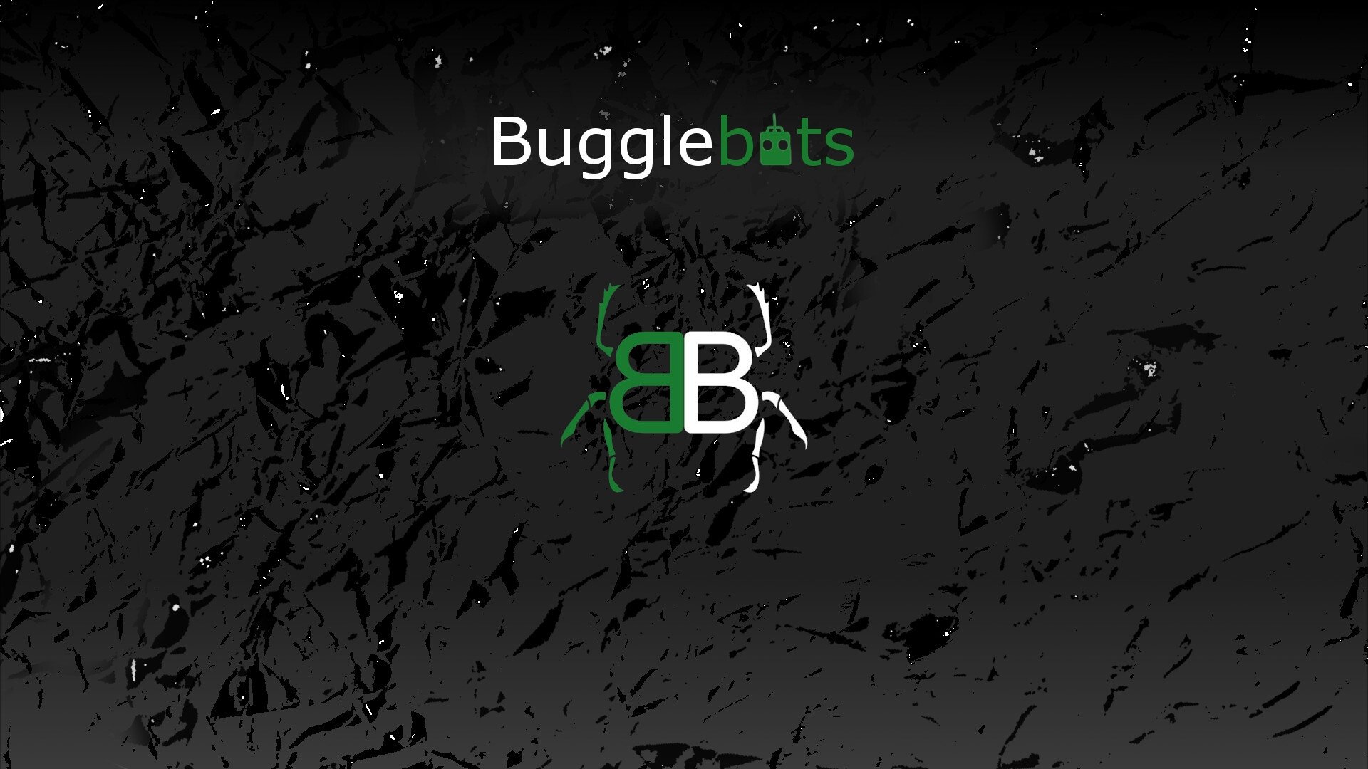 Bugglebots poster