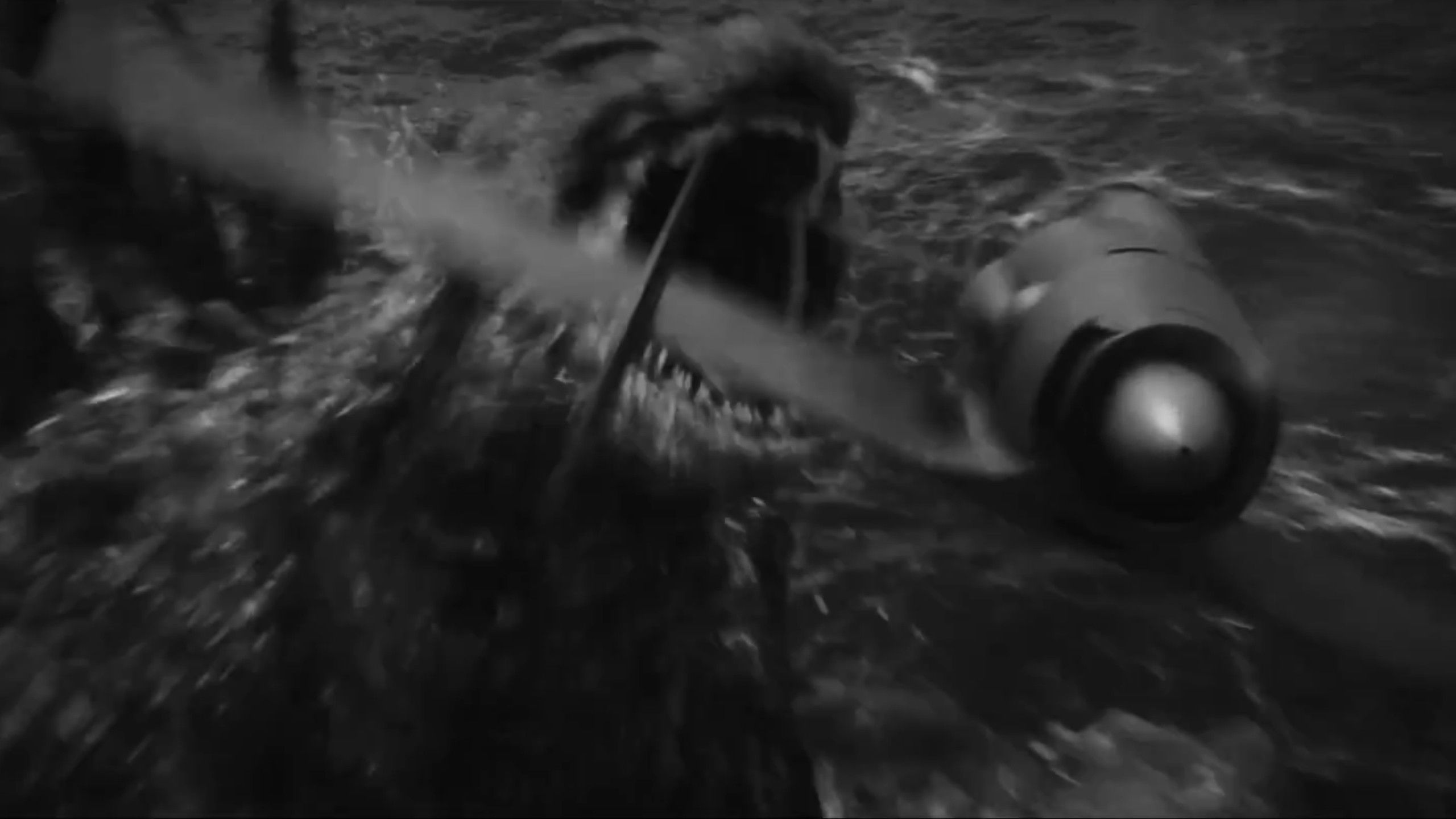 Godzilla Minus One/Minus Color