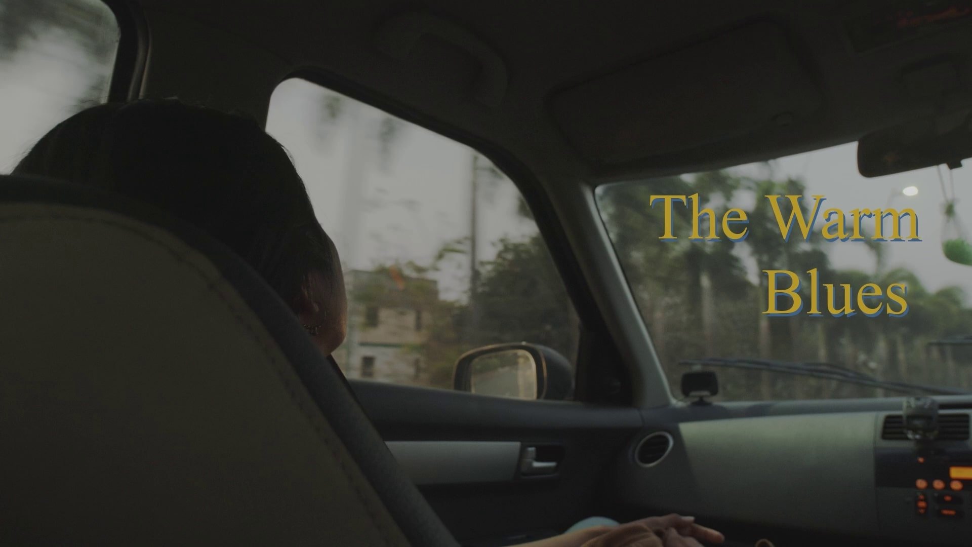 The Warm Blues (2022)