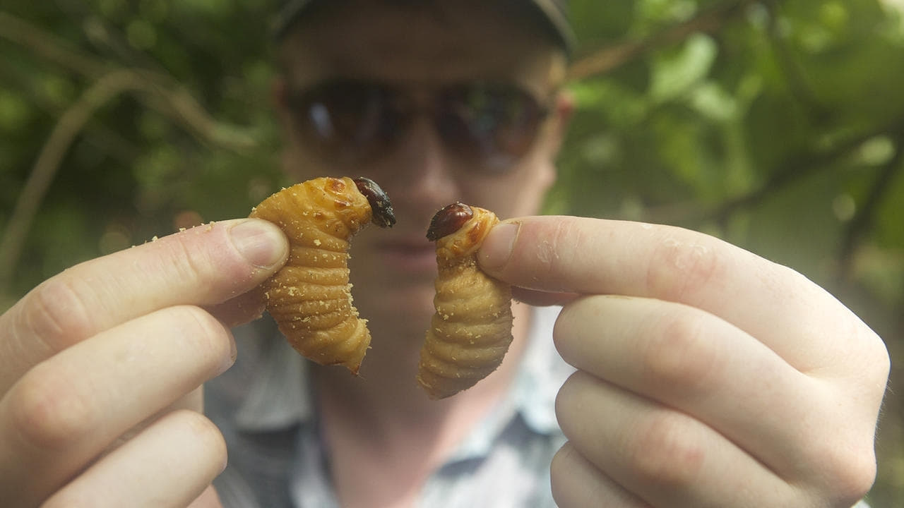 Bichos de alta cocina (2016)