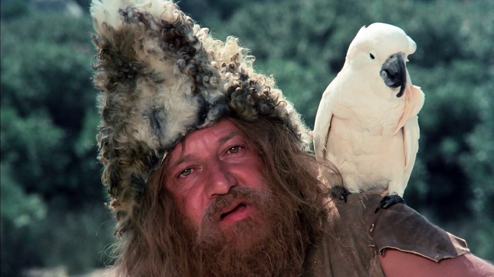 Il signor Robinson - Mostruosa storia d'amore e d'avventure (1976)