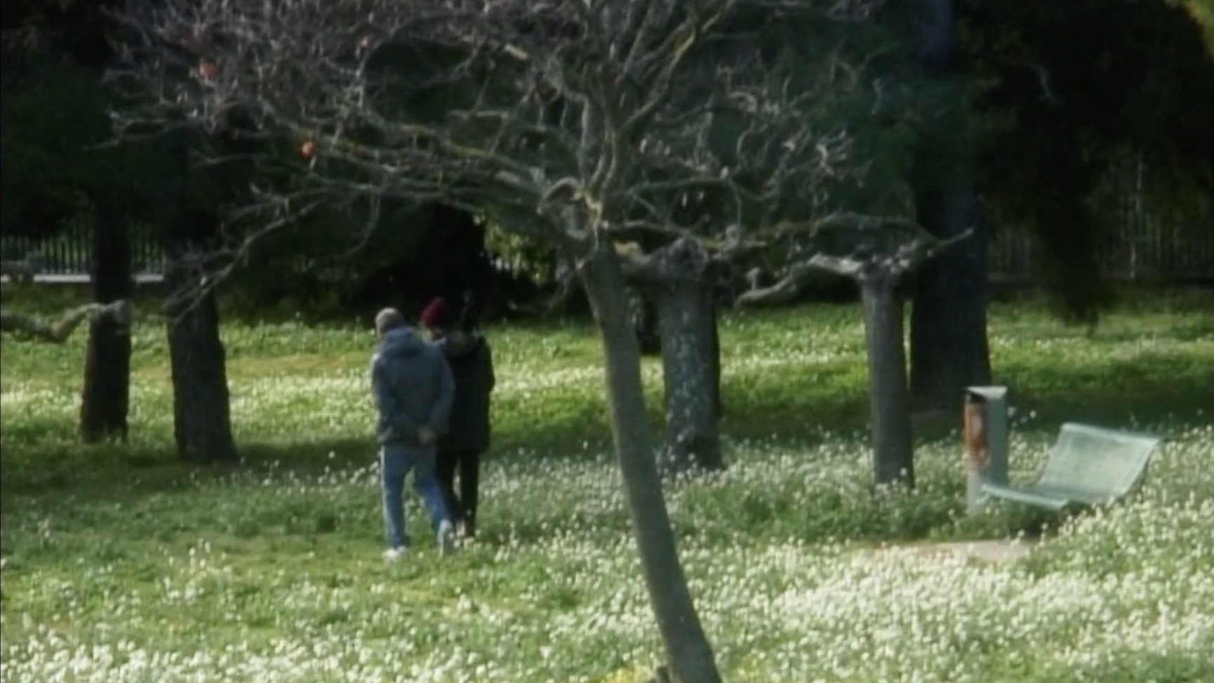 Lapin hyper lent (2024)