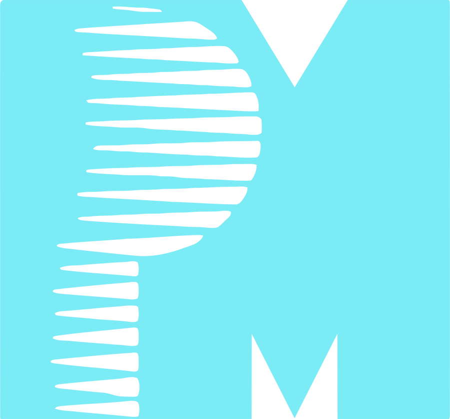 PM Entertainment Group