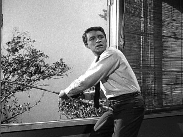 My Favorite Martian