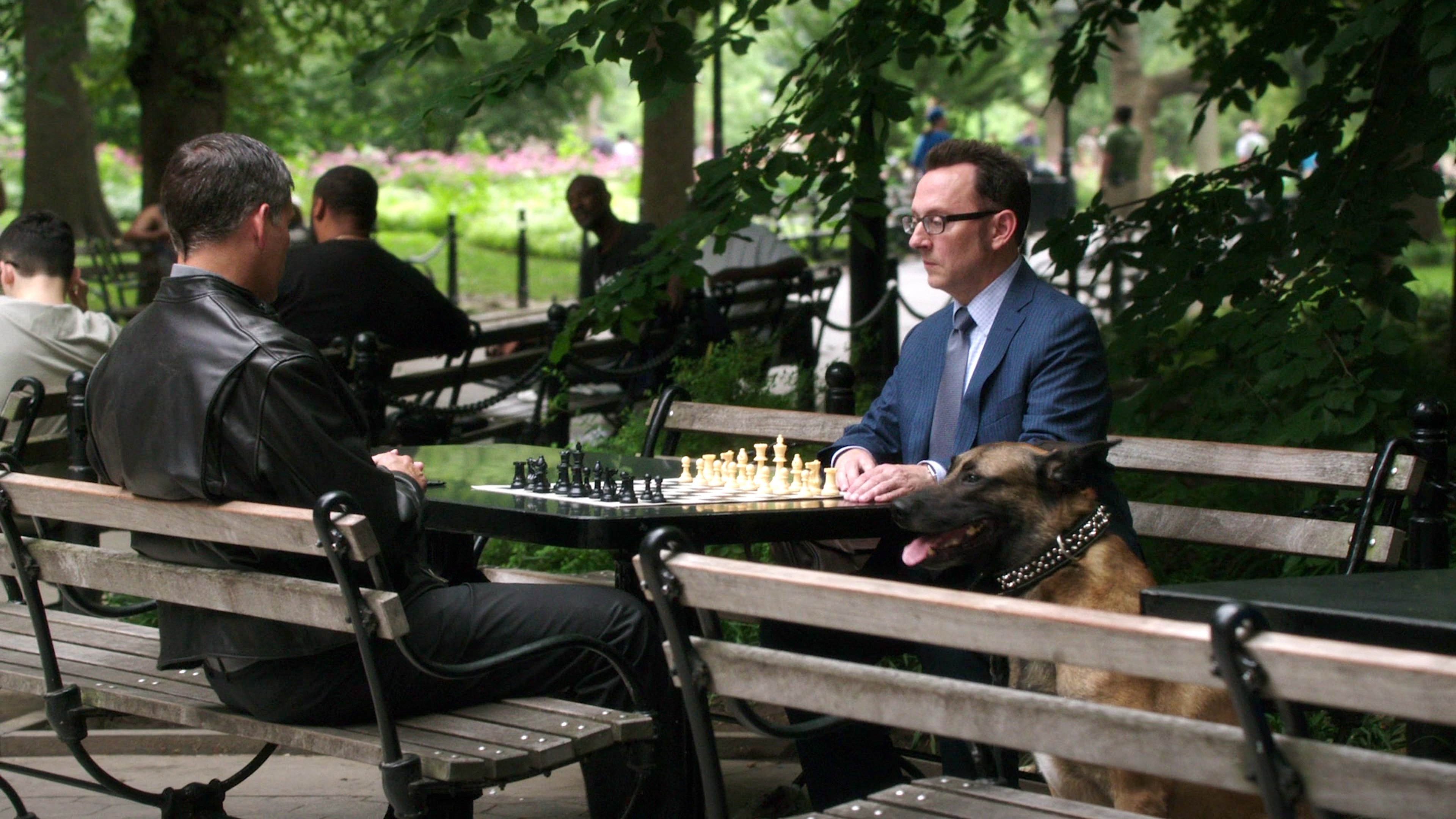Person of Interest