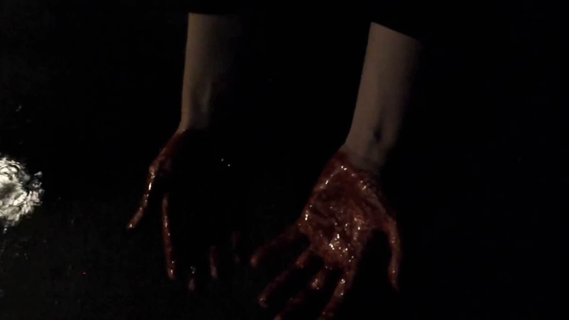 Transfiguration (2023)