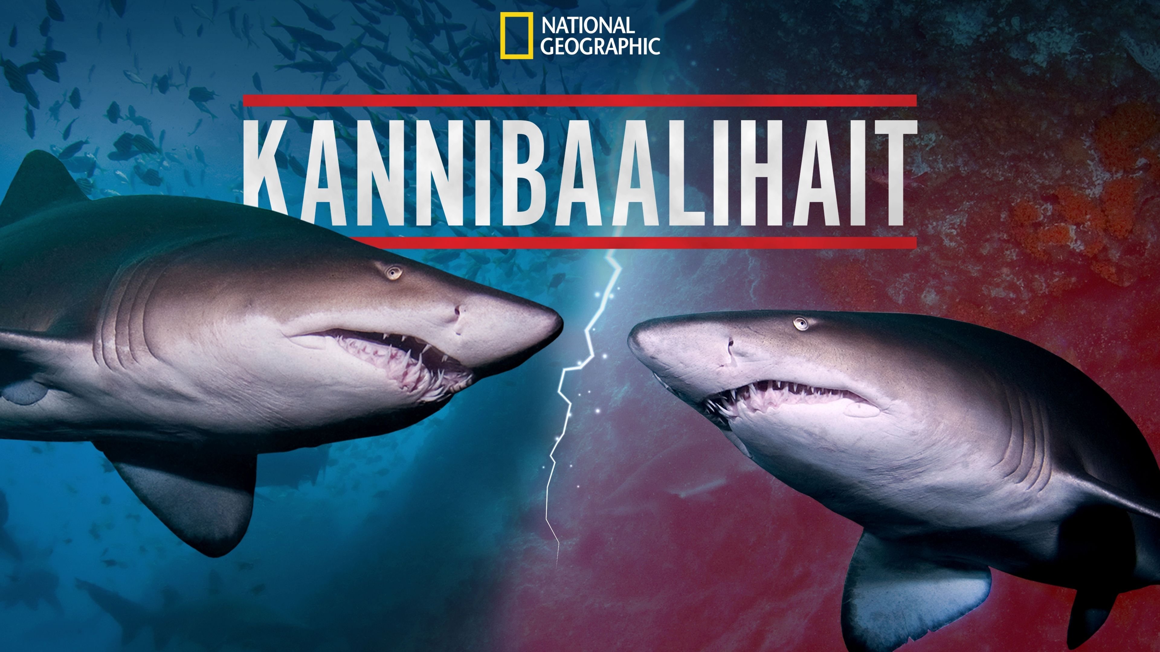 Cannibal Sharks