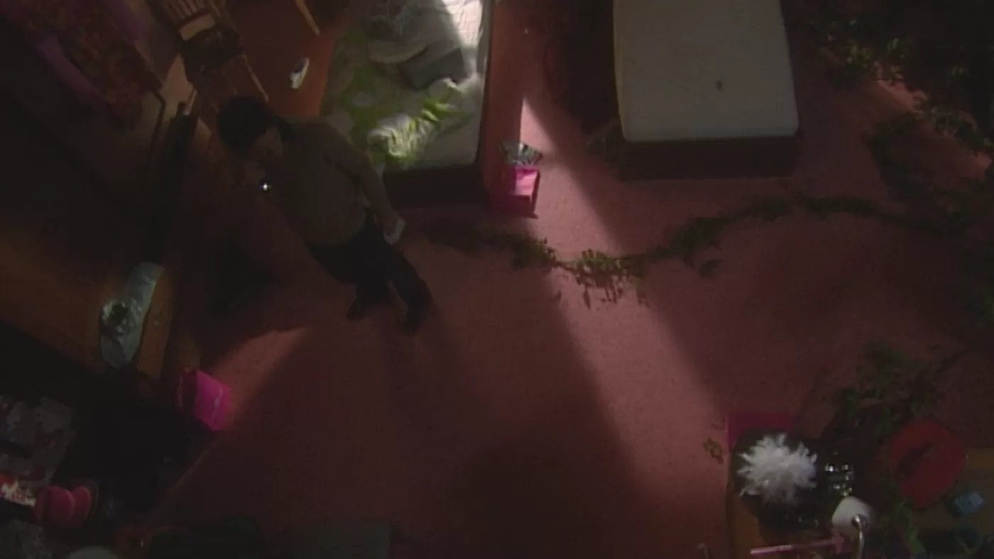 House of Anubis (NL)