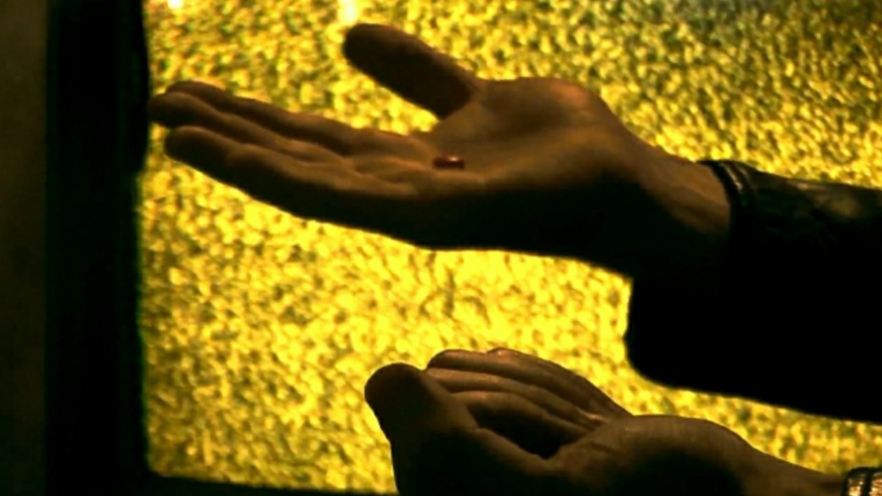 El mate amargo (2013)