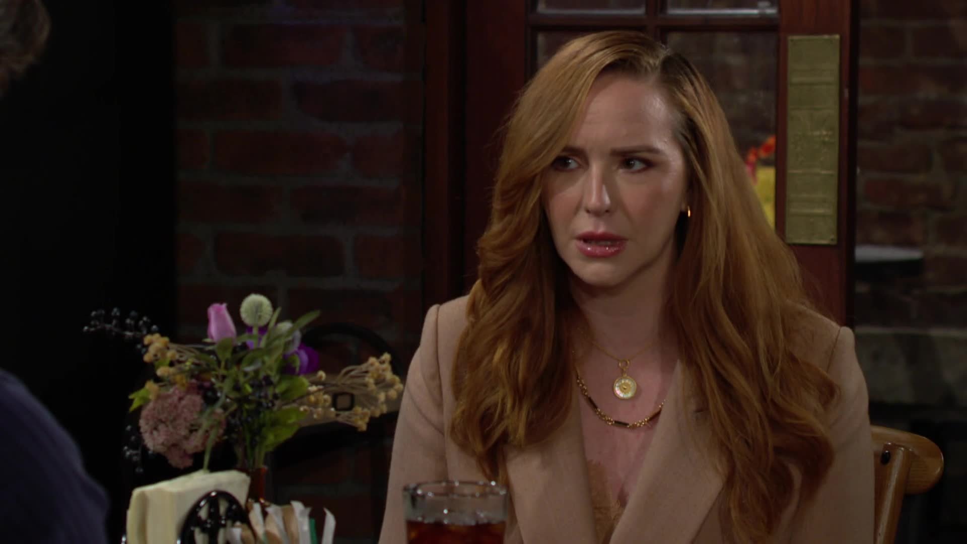 The Young and the Restless 50x199