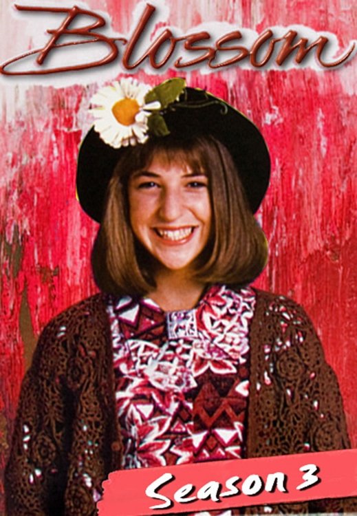 Capa da 3º temporada da série Blossom