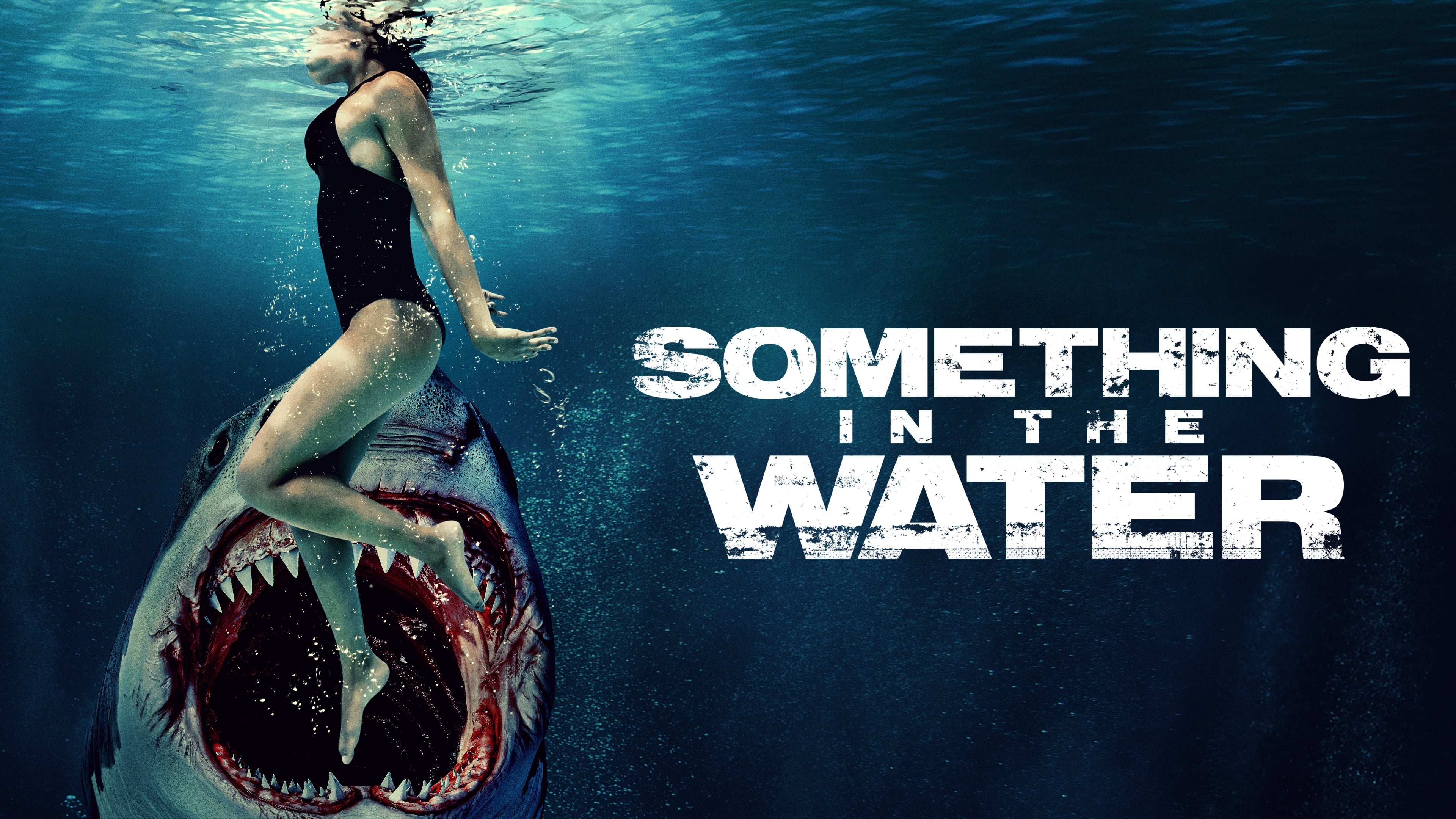 Assistir Online Something in the Water Dublado