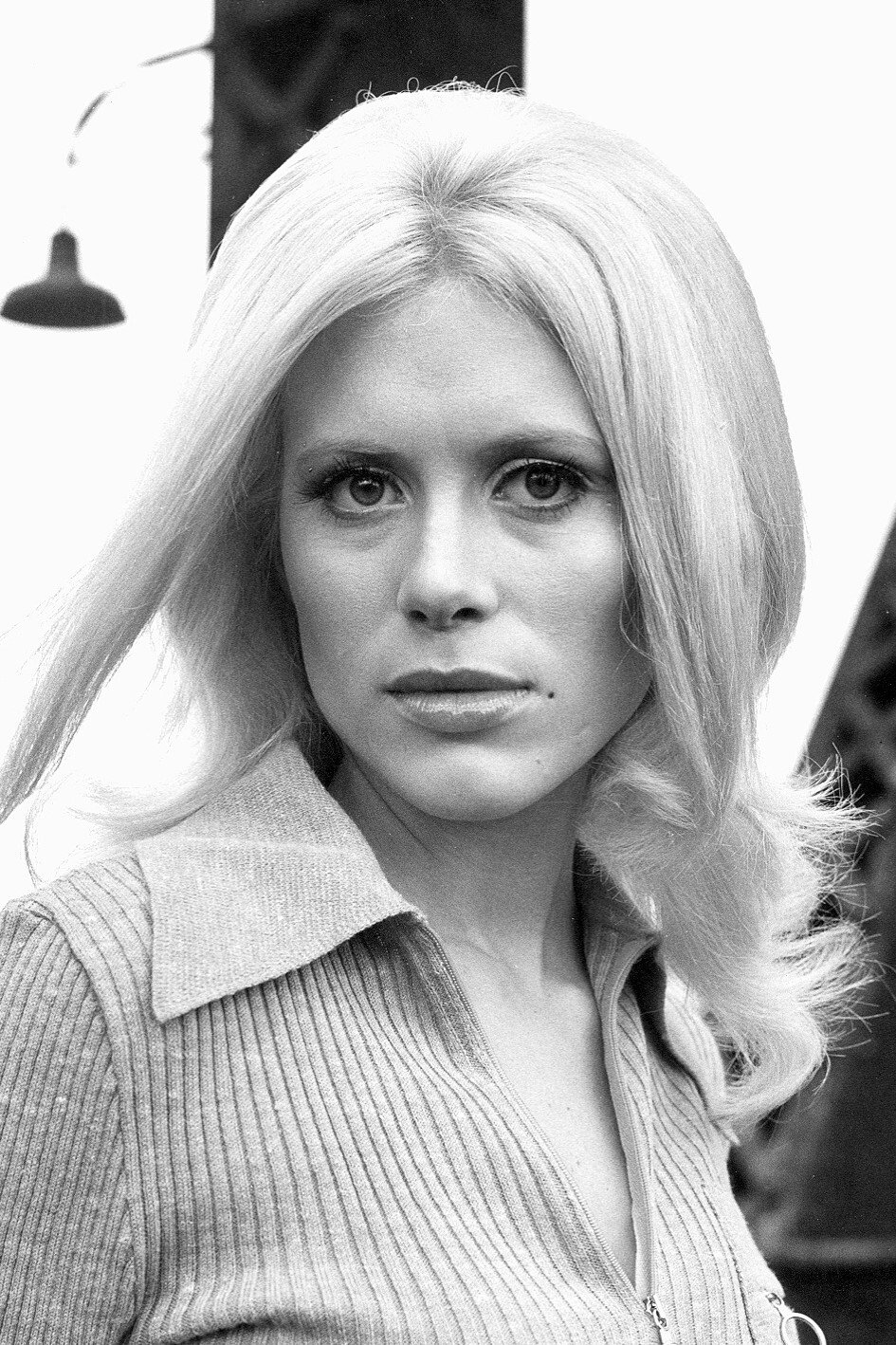 et billede af Cheri Caffaro