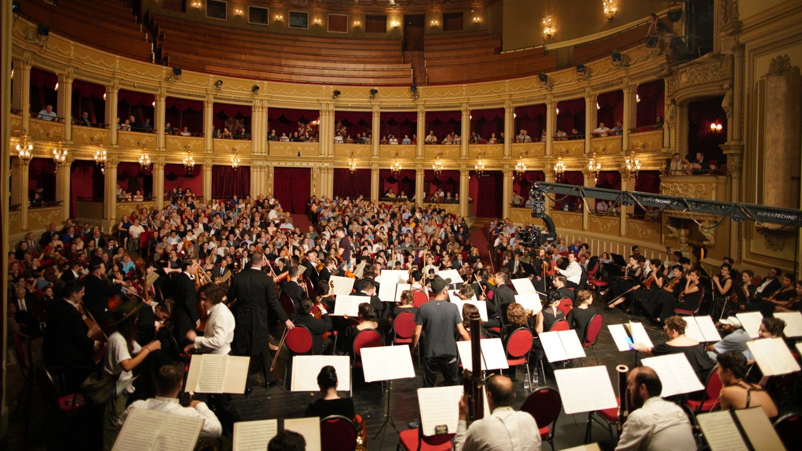 Cravata galbenă (2025)